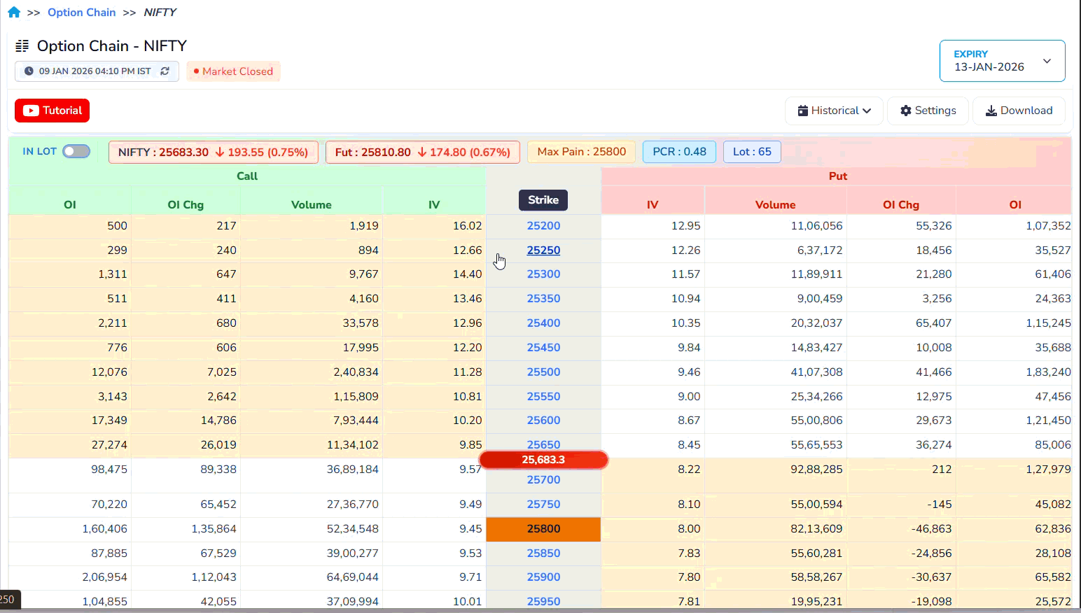 Column highlighting in option chain table